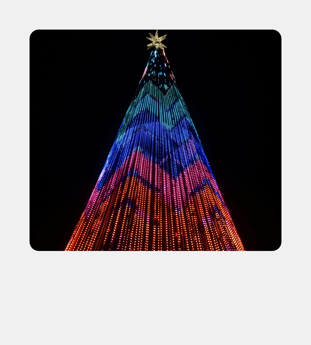 Small Image of PALAMI Group LED Media Light On Christmas Tree