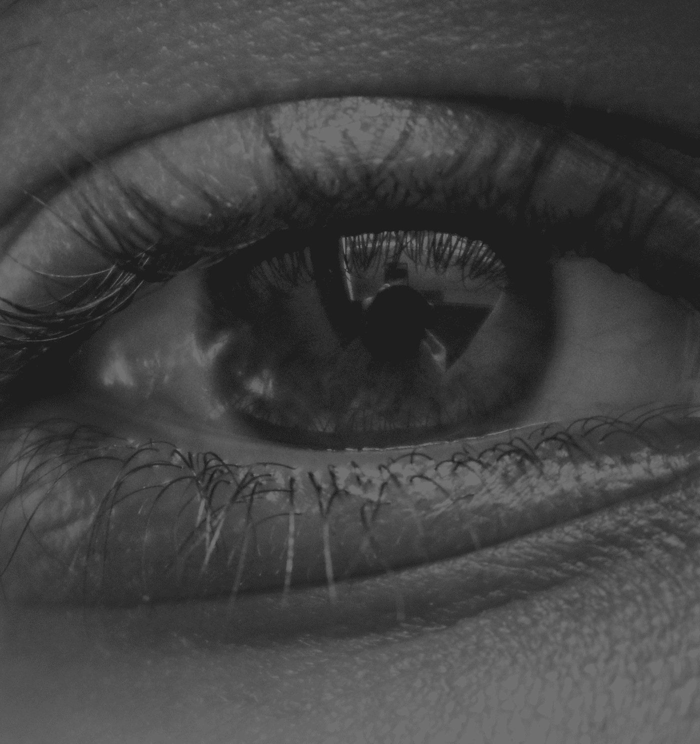 Image Of Eye Representing Vision Of PALAMI Group